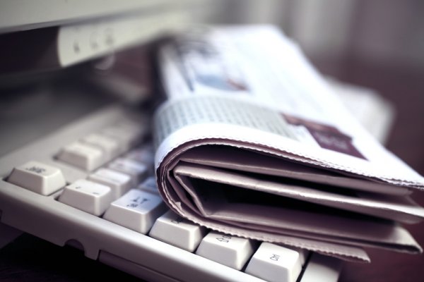 Недоверие к властям в Нидерландах достигло 70%  опрос