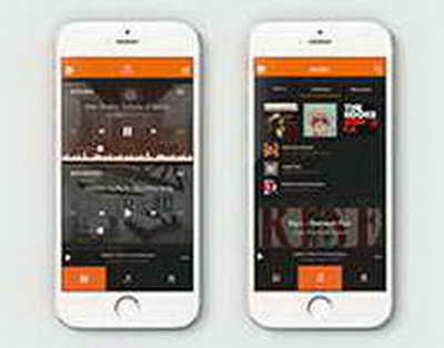 В Антарктиде впервые обнаружили янтарь