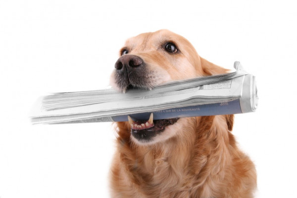 В Москве жильцов напугал пакет, оставленный Дедом Морозом